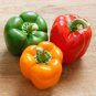 Rarest Mixed Orange Green Red Yellow Square Sweet Pepper 100 PCS Seeds