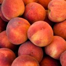 Red Flat Peach Peento Saucer Peach Plant 2 PCS Seeds
