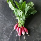 Sausage Radish Balcony Potted Vegetable Fruit Belle Radish 35 PCS Seeds Sausage Radish Balcony Potted Vegetable Fruit Belle Radish 35 PCS Seeds