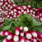 Sausage Radish Balcony Potted Vegetable Fruit Belle Radish 35 PCS Seeds