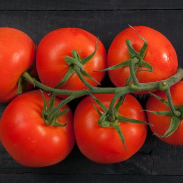 Sami Big Bright Red Tomato Hybrid F1 Fruit 100 PCS Seeds