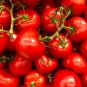 Sami Big Bright Red Tomato Hybrid F1 Fruit 100 PCS Seeds