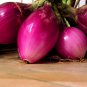 Salad Bunching Red Mate Onion Vegetables 100 PCS Seeds