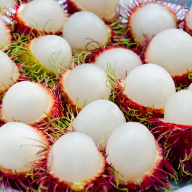 Rambutan Red Fruits Malaysia Miracle Fruit 5 PCS Seeds