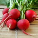 Radish Violet Round Vegetable 150 PCS Seeds Radish Violet Round Vegetable 150 PCS Seeds