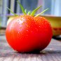 Qinshu Fengguan Big Red Tomato 10 PCS Seeds
