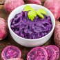 Purple Sweet Potato 100 PCS Seeds