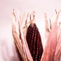 Purple Glutinous Maize Corn 100 PCS Seeds