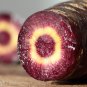 Purple Dragon Carrot Absolutely Unique Bird's Nest Carota 500 PCS Seeds