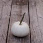 Pumpkin Casper White Pumpkin 25 Thru 100 PCS Seeds