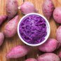 Potato Purple Color 100 PCS Seeds