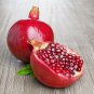 Pomegranate Trees 10 PCS Seeds