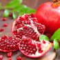 Pomegranate Trees 10 PCS Seeds