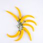 Pod Pepper Yellow Cluster of Hot Chili Vegetable 25 PCS Seeds