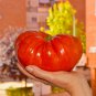 Pinkish Red Tomato Big Apple-sized Fruit 5 PCS Seeds