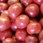 Pink King Tomato 100 PCS Seeds