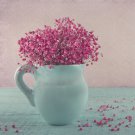 Pink Gypsophila Paniculata Baby's Breath Graceful Flowers 400 PCS Seeds