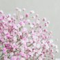Pink Gypsophila Paniculata Baby's Breath Graceful Flowers 400 PCS Seeds