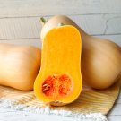 Pink Banana Jumbo Pumpkin Flesh Fruits Squash Vegetable 20 PCS Seeds