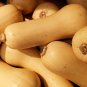 Pink Banana Jumbo Pumpkin Flesh Fruits Squash Vegetable 20 PCS Seeds