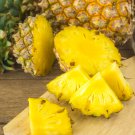 Pineapple 100 PCS Seeds