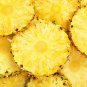 Pineapple 100 PCS Seeds