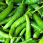 Pig Intestines' Long Crooked Hot Chili Pepper Vegetable 30 PCS Seeds