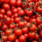 'Piccolo Cherry' Tomato 100 PCS Seeds