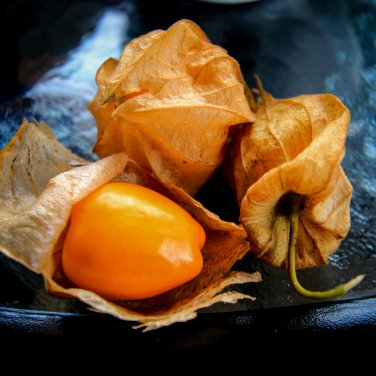 Physalis Peruviana Delicious Fruit Golden Berry 5 PCS Seeds