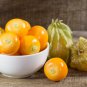 Physalis Peruviana Delicious Fruit Golden Berry 5 PCS Seeds
