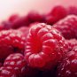 Perennial Raspberry Feral Rubus Idaeus Bush Fruit 80 PCS Seeds