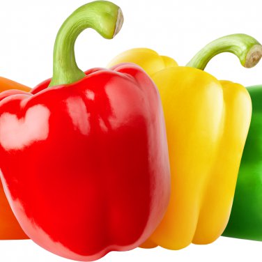 Pepper 50 PCS Seeds