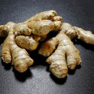 Perennial ginger vegetable 100 PCS Seeds