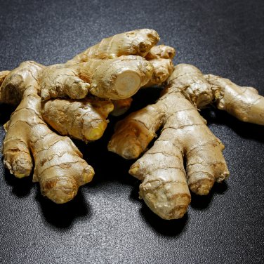 Perennial ginger vegetable 100 PCS Seeds