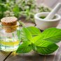 Peppermint Mint Herb 50 PCS Seeds