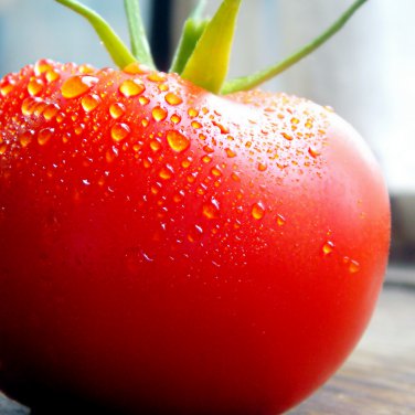 Peking F1 Pink Red Big Tomato 400 PCS Seeds