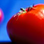 Peking F1 Pink Red Big Tomato 400 PCS Seeds