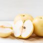 Pear Chinese White Sand Pear 5 PCS Seeds