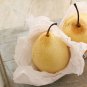 Pear Chinese White Sand Pear 5 PCS Seeds