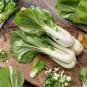Pak Choi White Stem Chinese Cabbage 200 PCS Seeds