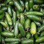 Organically Grown Mucho Nacho Jalapeno Hot Pepper 30 PCS Seeds