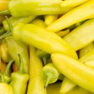 Organic Vegetables Yellow Peppers 20 PCS Seeds