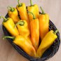 Organic Vegetables Yellow Peppers 20 PCS Seeds
