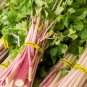 Organic Purple Stems Celery Vegetable 30 PCS Seeds