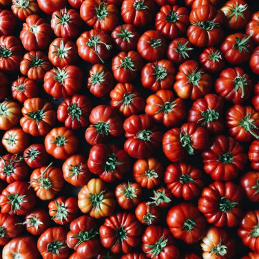 Organic Brandywine True Black Lycopersicon lycopersicum Tomato 100 PCS Seeds