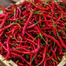 Organic Hot Chili Red Pod Pepper Organic Vegetable 30 PCS Seeds Organic Hot Chili Red Pod Pepper Organic Vegetable 30 PCS Seeds
