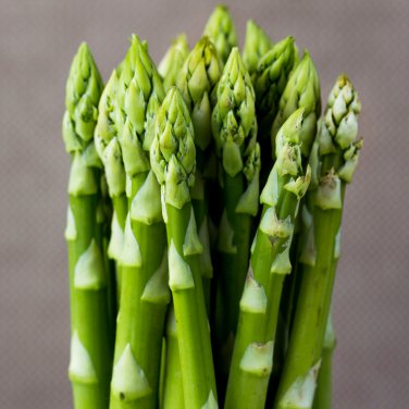 Organic Green Asparagus Vegetables 20 PCS Seeds