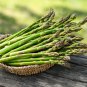 Organic Green Asparagus Vegetables 20 PCS Seeds