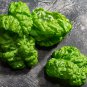 Organic Giant Grandi Foglie Valentino Basil 30 PCS Seeds