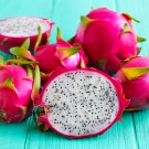 Organic Dwarf Pitaya Dragon Fruit Mixed Yellow Red White Colors 100 PCS Seeds Organic Dwarf Pitaya Dragon Fruit Mixed Yellow Red White Colors 100 PCS Seeds